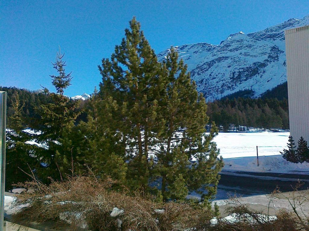 Studio Champfer Saint-Moritz Dış mekan fotoğraf